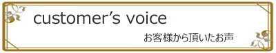 img-voice1